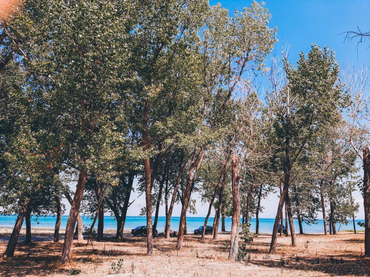 Aktaion Hotel Skala Alykis Екстериор снимка